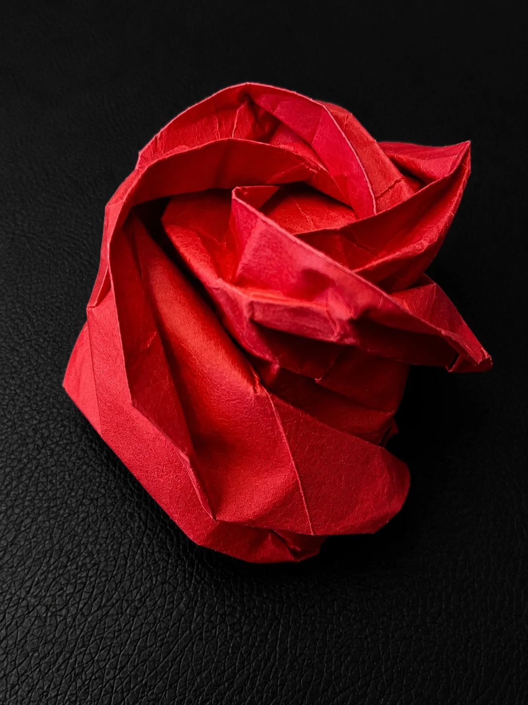 The Red Rose, a second view of the folded bloom