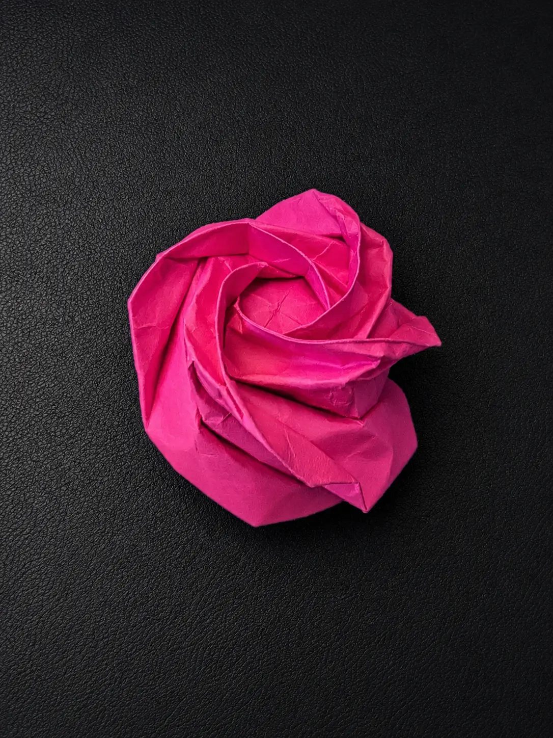 The Pink Rose, a second view of the folded bloom
