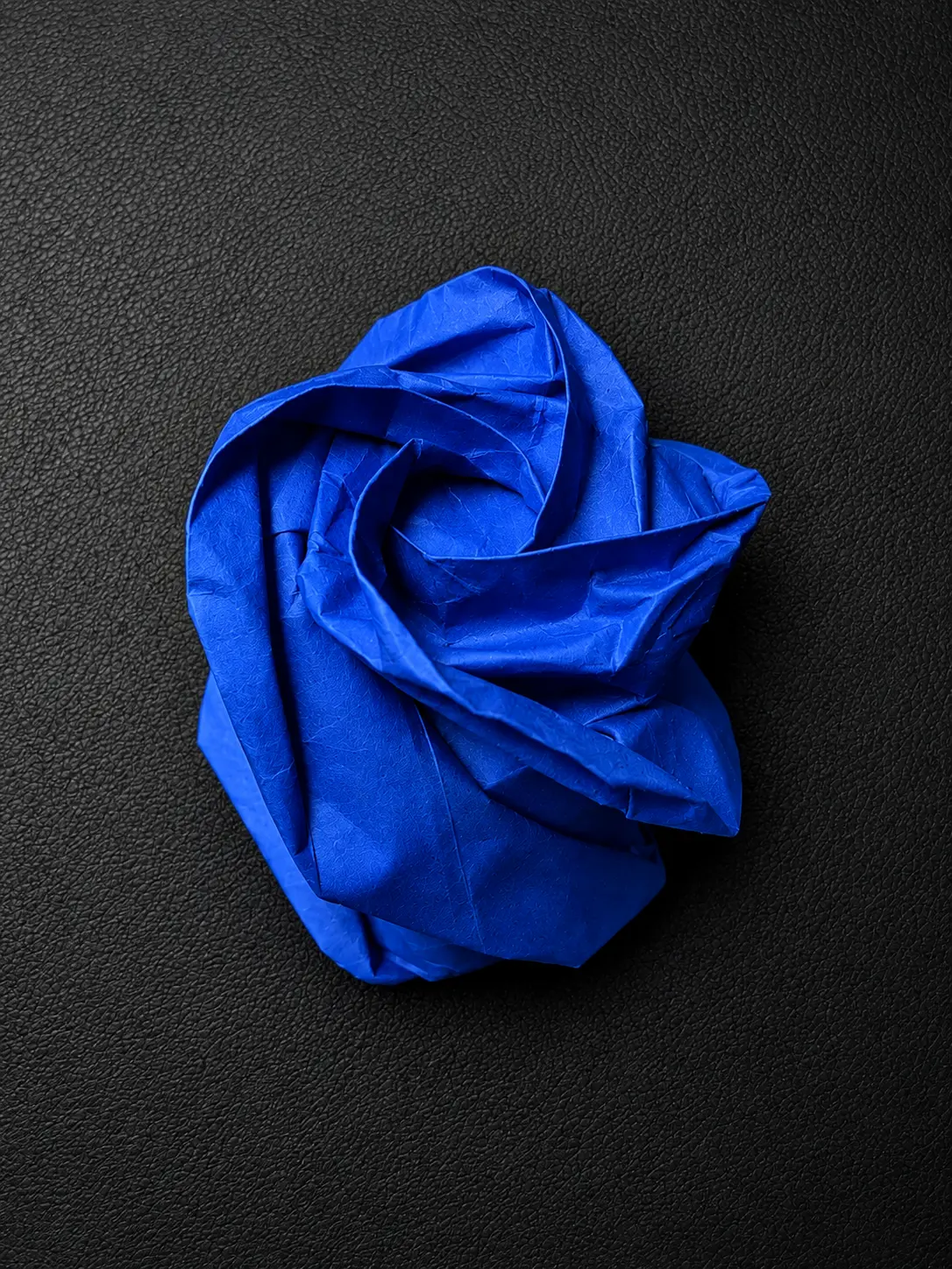 The Blue Rose, a second view of the folded bloom